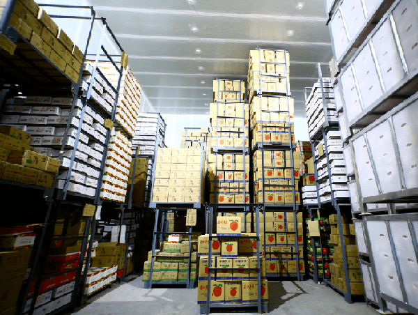 蘋(píng)果冷庫(kù)