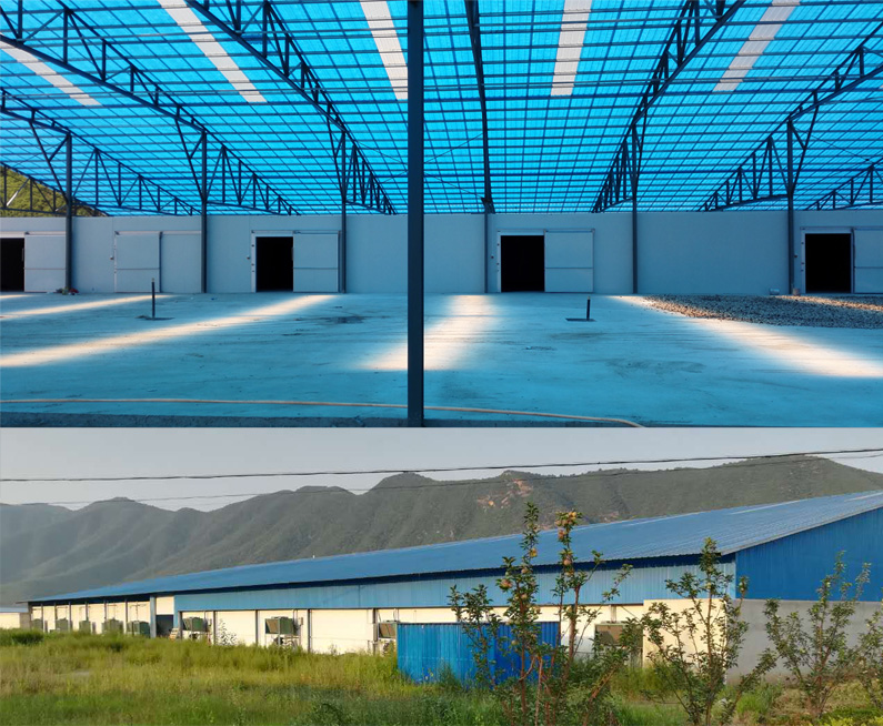 灤平興春和農(nóng)業(yè)食用菌保鮮冷庫(kù)