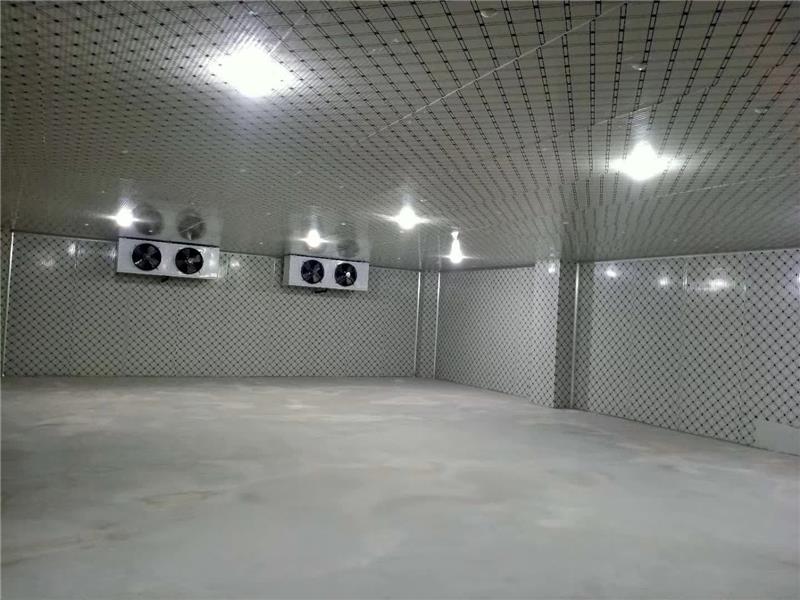 100平方冷庫(kù)