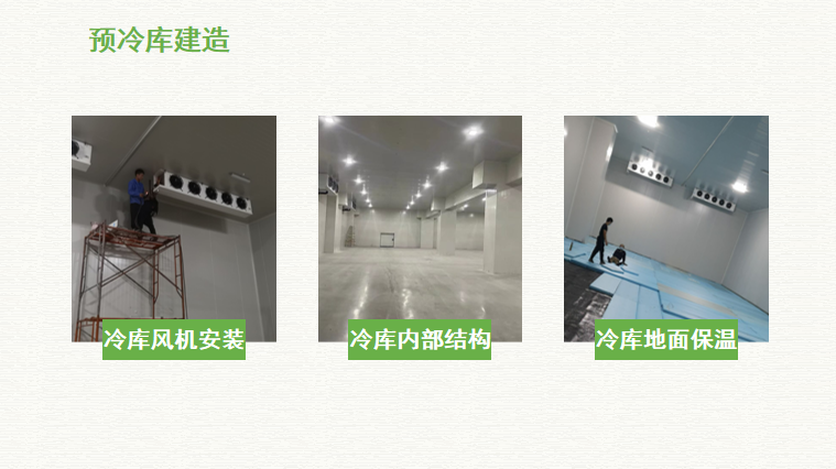 預(yù)冷庫建造