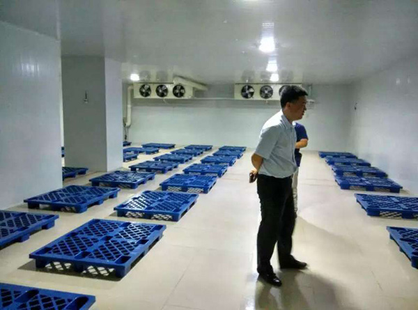 醫(yī)療器械第三方物流冷庫